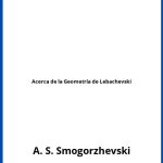 Solucionario Acerca de la Geometría de Lebachevski