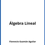 Solucionario Álgebra Lineal