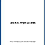 Solucionario Dinámica Organizacional