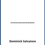 Solucionario Economía Internacional (Schaum)