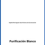 Solucionario Español-Portugués: Guía Práctica de Conversación