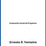 Solucionario Evaluación Social de Proyectos