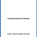 Solucionario Fundamentals of Calculus