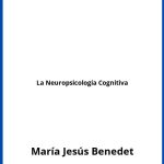 Solucionario La Neuropsicología Cognitiva