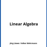 Solucionario Linear Algebra