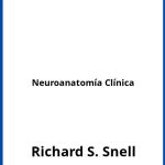 Solucionario Neuroanatomía Clínica