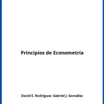 Solucionario Principios de Econometría