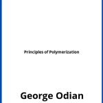 Solucionario Principles of Polymerization