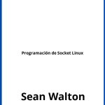 Solucionario Programación de Socket Linux