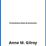 Solucionario Prometheus Atlas de Anatomía