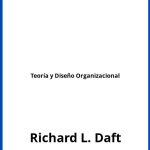 Solucionario Teoría y Diseño Organizacional