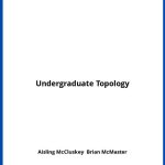Solucionario Undergraduate Topology